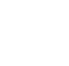 南京大学政府管理学院院徽（反白）